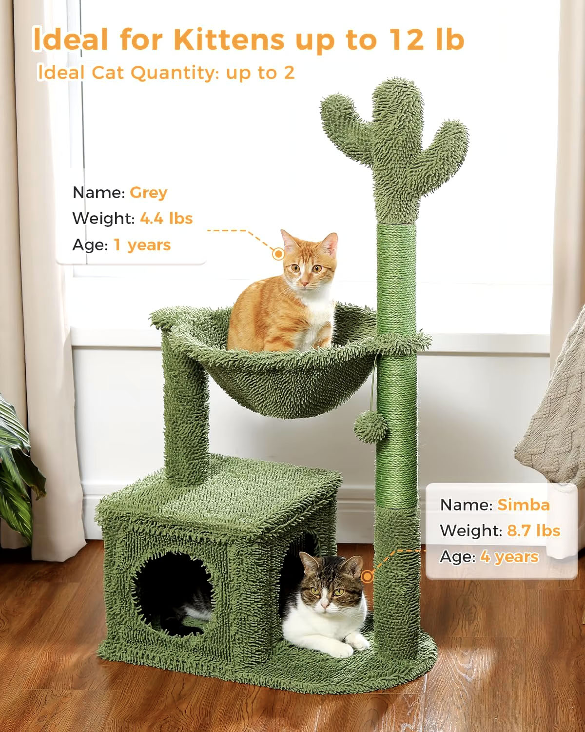 Cactus Cat Tree with Condo & Dangling Ball Cactus Cat Tree with Condo & Dangling Ball