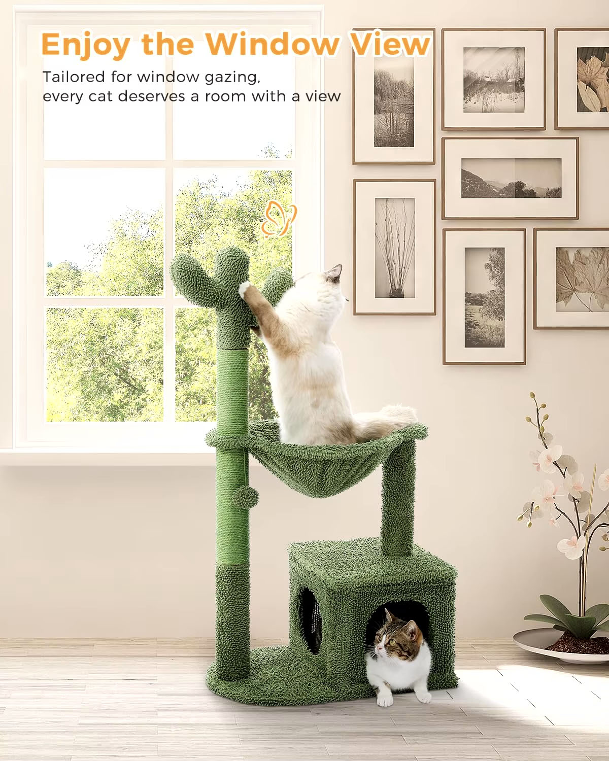 Cactus Cat Tree with Condo & Dangling Ball Cactus Cat Tree with Condo & Dangling Ball